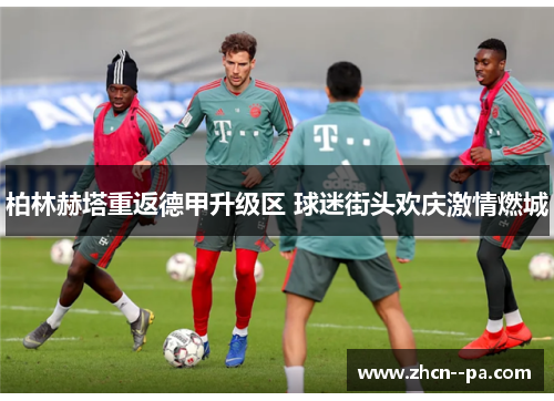柏林赫塔重返德甲升级区 球迷街头欢庆激情燃城
