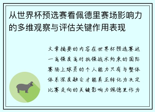 从世界杯预选赛看佩德里赛场影响力的多维观察与评估关键作用表现